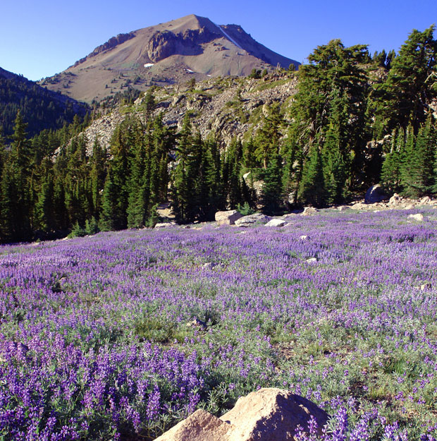 Anastasia Nelson at Lassen Volcanic National Park